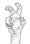 CL-3 (claw)
