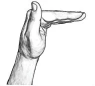 CL-B (bent)