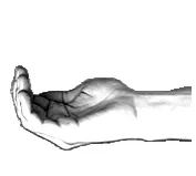 CL-B (curved)