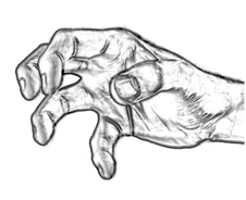 CL-C (claw)