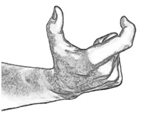 CL-L (curved)