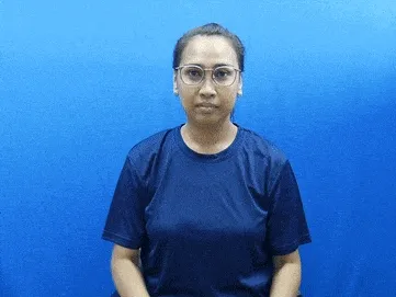 Programmer
