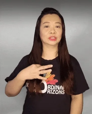 SgSL variation of shirt