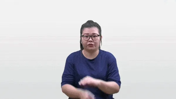 Tortoise