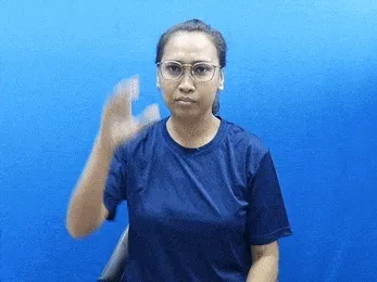 Videographer